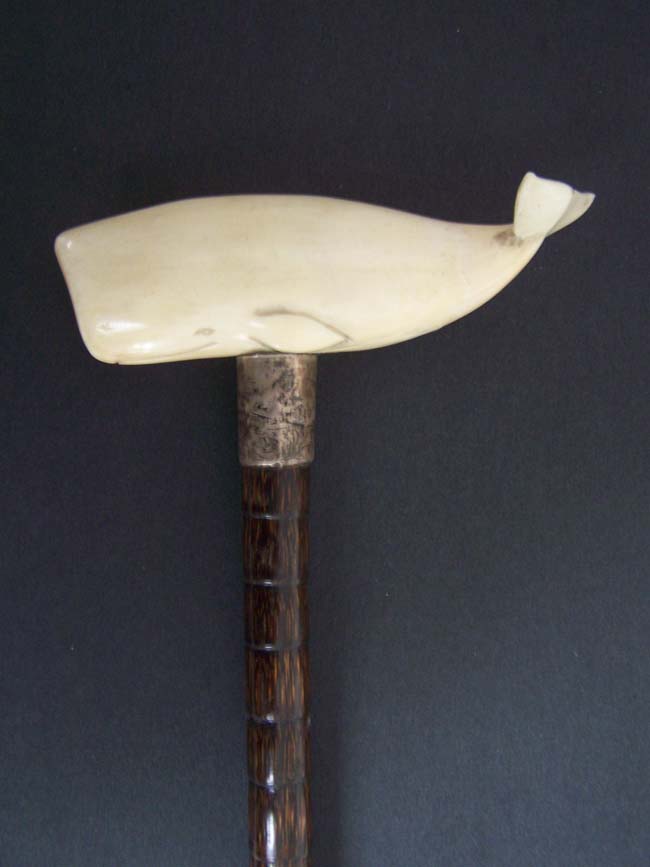 A 19th century Palm Wood Walking Stick with ANTIQUE Whale Ivory Handle in the form of a Sperm Whale — image 2